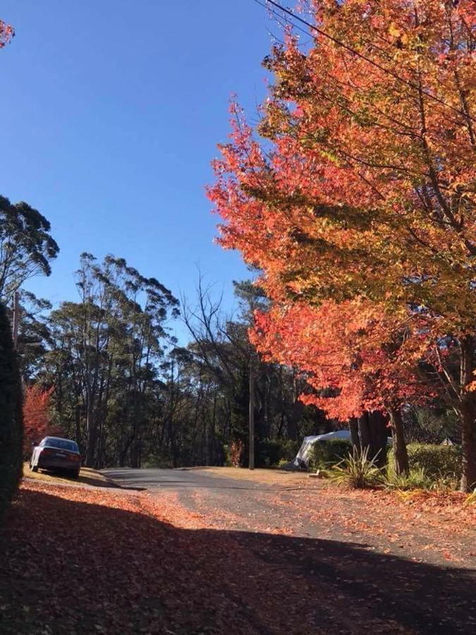 Newly Built - Blue On Albion Villa Katoomba Exterior foto